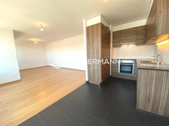 Apartment with 4 rooms for rent in Genève 73 m² | dreamo. Ch