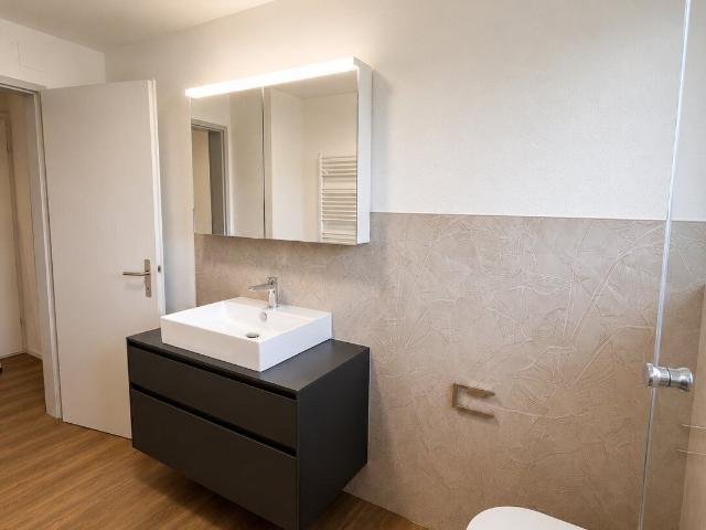 Apartment with 4 rooms for rent in Lutzenberg 83 m² | dreamo. Ch