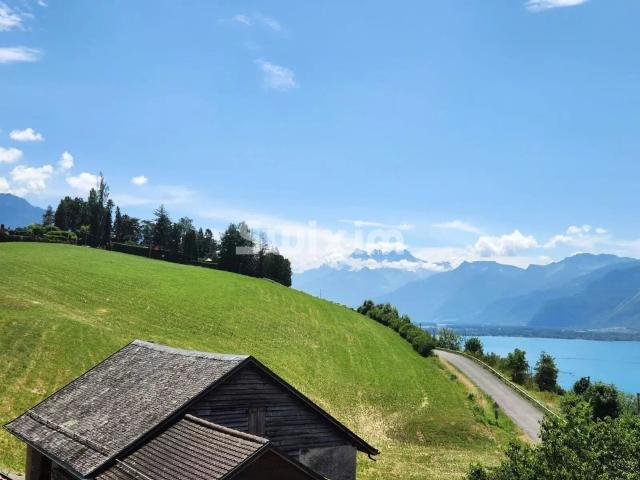 Apartment with 4.5 rooms for rent in Clarens 178 m² | dreamo. Ch