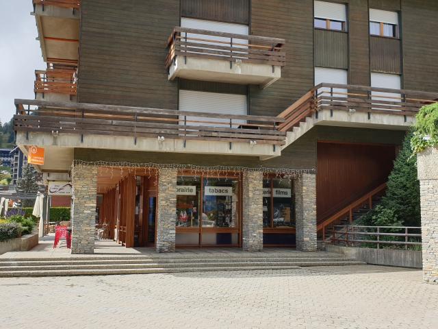 Apartment with 4.5 rooms for rent in Anzère Ref FID 0009 | dreamo. Ch