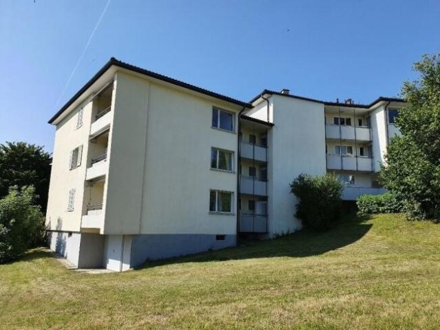 Apartment with 4.5 rooms for rent in Adliswil Ref 8009 | dreamo. Ch