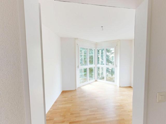 Apartment with 4.5 rooms for rent in Arnegg 98 m² | dreamo. Ch