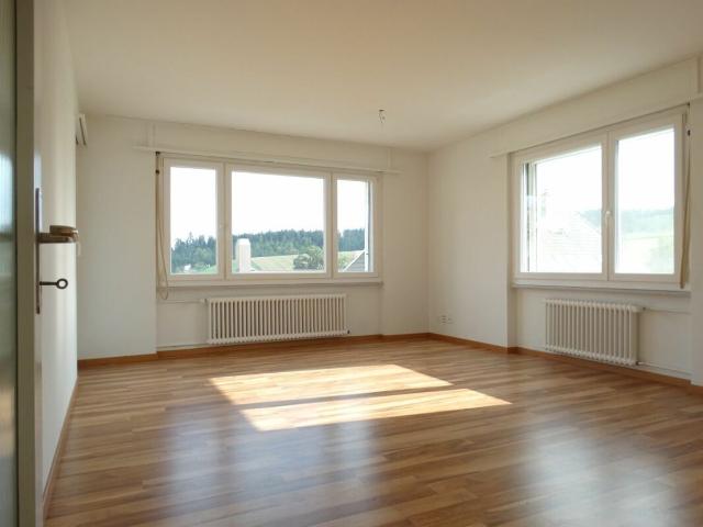 Apartment with 4.5 rooms for rent in Fischbach LU | dreamo. Ch