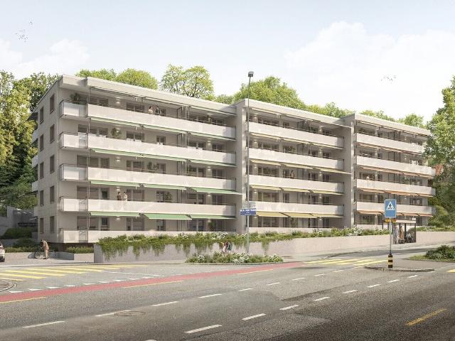 Apartment with 4.5 rooms for rent in Olten 79 m² | dreamo. Ch