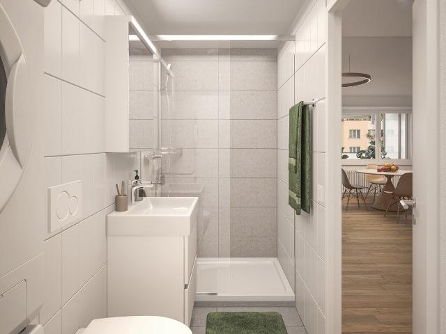 Apartment with 4.5 rooms for rent in Olten 97 m² | dreamo. Ch
