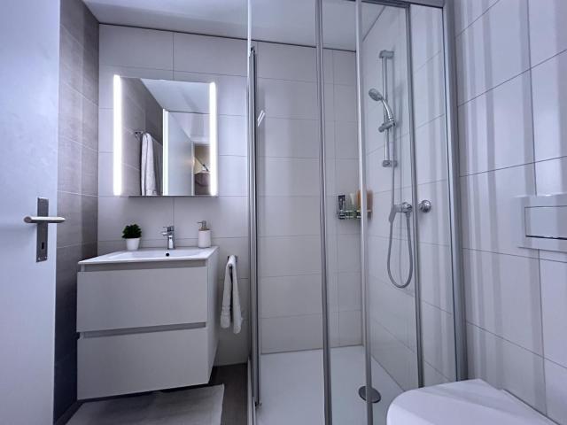 Apartment with 4.5 rooms for rent in la chaux de fonds 141 m² | dreamo. Ch