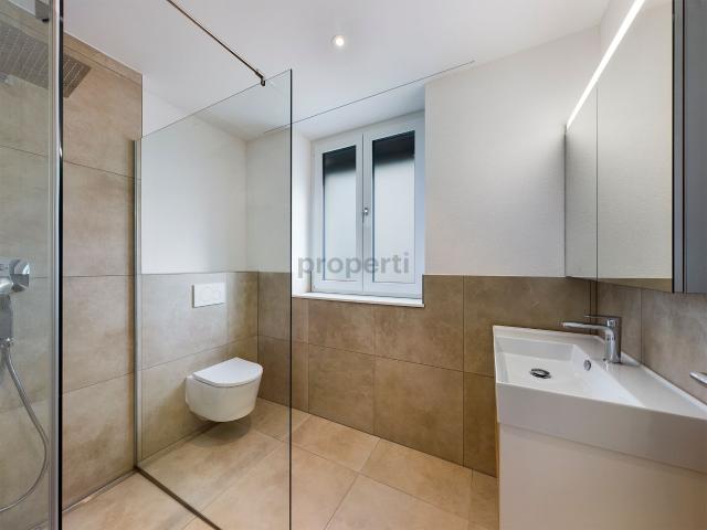Apartment with 4.5 rooms for rent in Neuhausen am Rheinfall 91 m² | dreamo. Ch