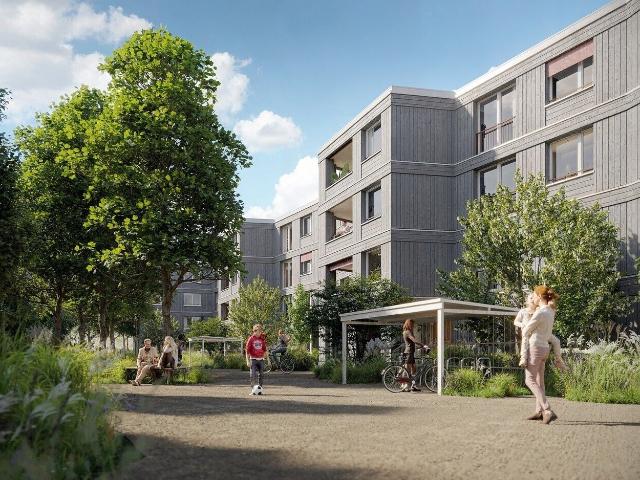 Apartment with 4.5 rooms for rent in Niederwangen 96 m² | dreamo. Ch