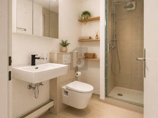 Apartment with 4.5 rooms for rent in Reinach AG 110 m² | dreamo. Ch