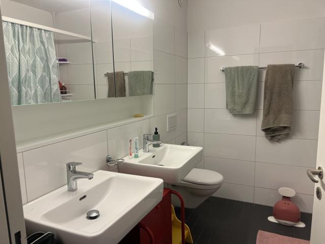 Apartment with 4.5 rooms for rent in Winterthur 107 m² | dreamo. Ch