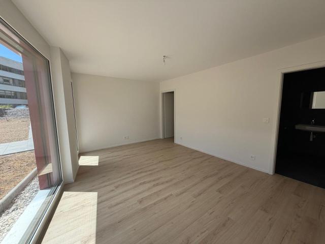 Apartment with 4.5 rooms for rent in Villeret 110 m² | dreamo. Ch