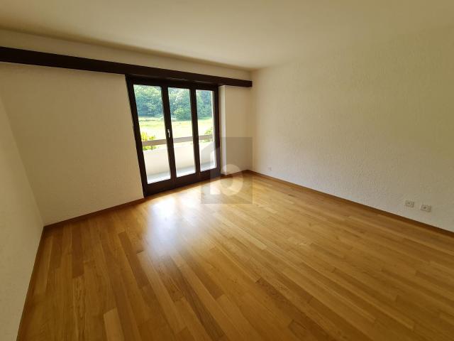 Apartment with 4.5 rooms on sale in Chironico 120 m² | dreamo. Ch
