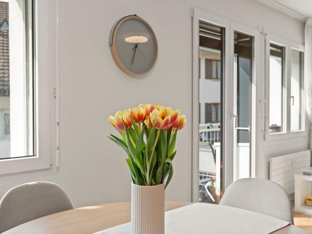 Apartment with 4.5 rooms on sale in Gelterkinden 106 m² | dreamo. Ch
