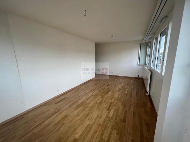Apartment with 5 rooms for rent in Genève Ref LOC 2850 1 | dreamo. Ch