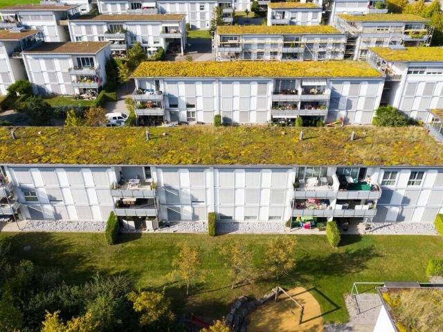 Apartment with 5 rooms for rent in Ittigen 103 m² | dreamo. Ch