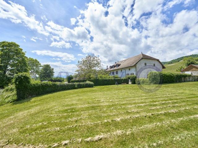 Apartment with 5 rooms for rent in Perroy 150 m² | dreamo. Ch