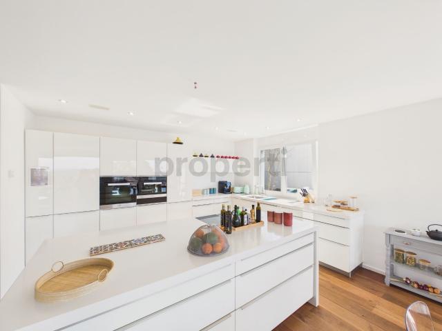 Apartment with 5.5 rooms for rent in Bellikon 230 m² | dreamo. Ch