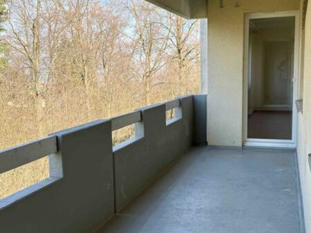 Apartment with 5.5 rooms for rent in Rorschacherberg 110 m² | dreamo. Ch