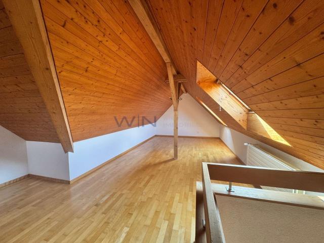 Apartment with 5.5 rooms for rent in Zürich 147 m² | dreamo. Ch