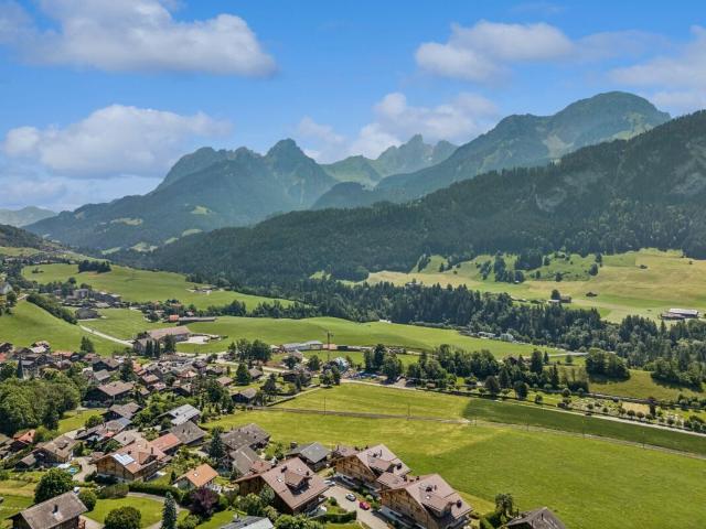 Apartment with 5.5 rooms on sale in Château d'Oex 146 m² | dreamo. Ch