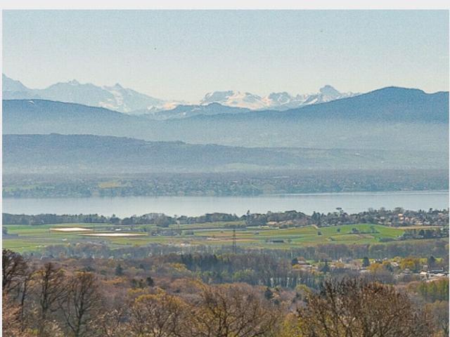 Apartment with 5.5 rooms on sale in Genolier Ref 1321016 | dreamo. Ch