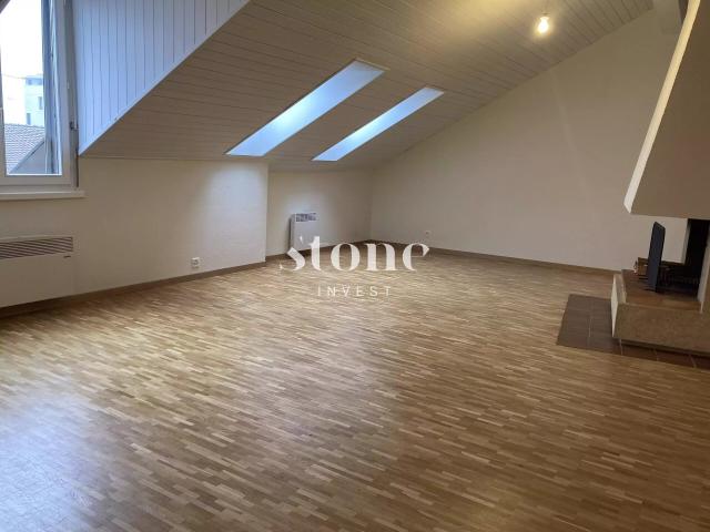 Apartment with 6 rooms for rent in Carouge 155 m² | dreamo. Ch