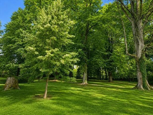 Apartment with 7 rooms for rent in Vandoeuvres 200 m² | dreamo. Ch