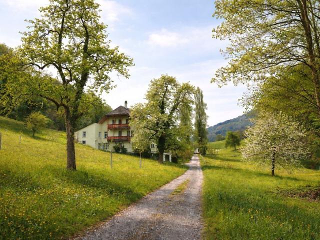 Apartment with 7.5 rooms for rent in Weggis 300 m² | dreamo. Ch