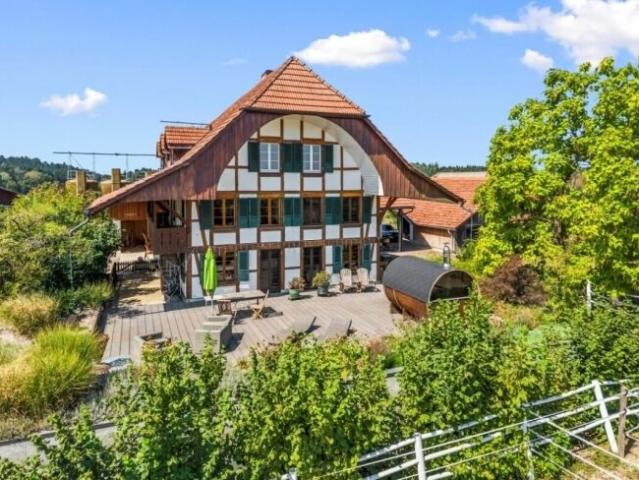 Apartment with 17.5 rooms on sale in Rapperswil BE Ref 8214 | dreamo. Ch