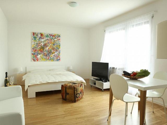 Furnished apartment with 1 room for rent in Basel 31 m² | dreamo. Ch