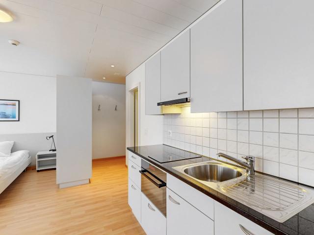 Apartment with 1 room for rent in Berikon 24 m² | dreamo. Ch