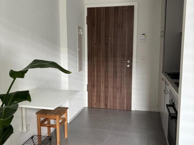 Apartment with 1 room for rent in Bussigny 23 m² | dreamo. Ch