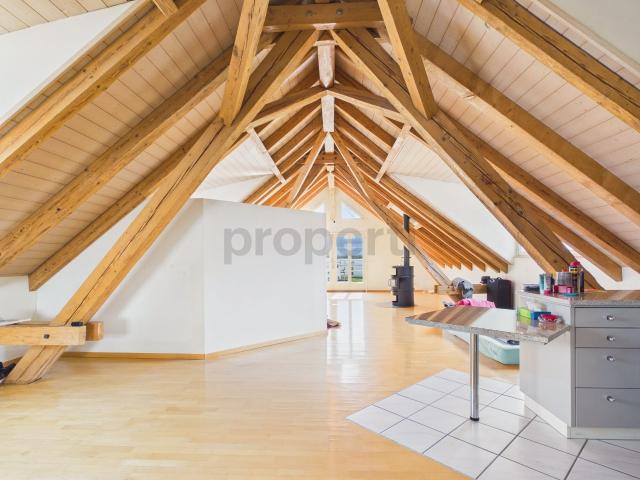 Apartment with 1 room for rent in Hausen am Albis 120 m² | dreamo. Ch