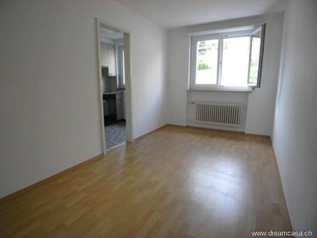 Apartment with 1 room for rent in Herisau 45 m² | dreamo. Ch