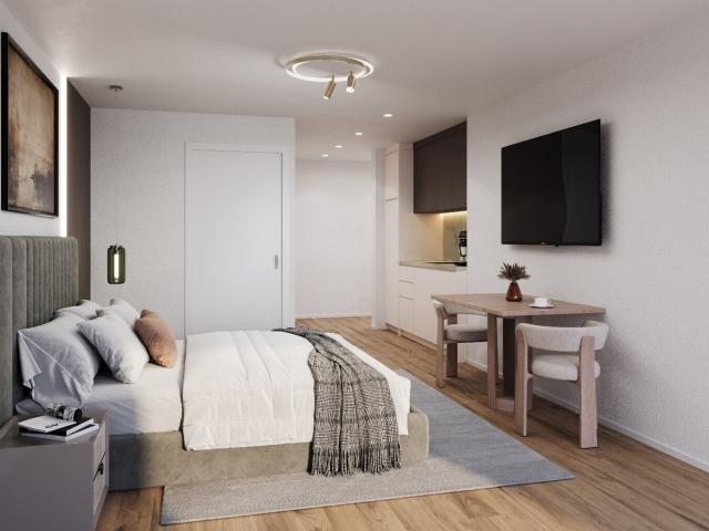 Apartment with 1 room for rent in Muttenz 23 m² | dreamo. Ch