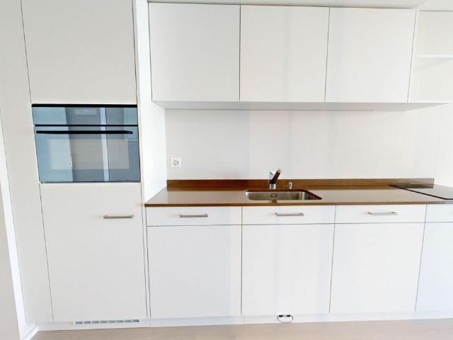 Apartment with 1 room for rent in St. Gallen 23 m² | dreamo. Ch
