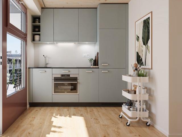 Apartment with 1 room for rent in St. Gallen 39 m² | dreamo. Ch