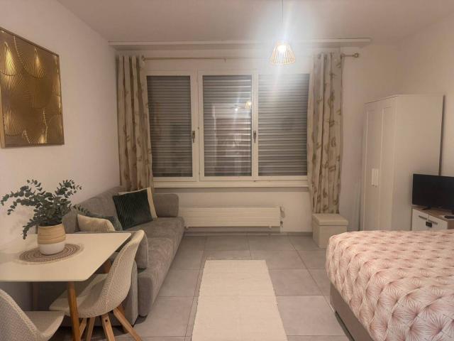 Apartment with 1 room for rent in Vevey 35 m² | dreamo. Ch