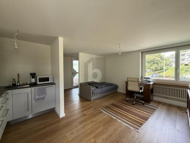 Apartment with 1 room on sale in Effretikon 30 m² | dreamo. Ch
