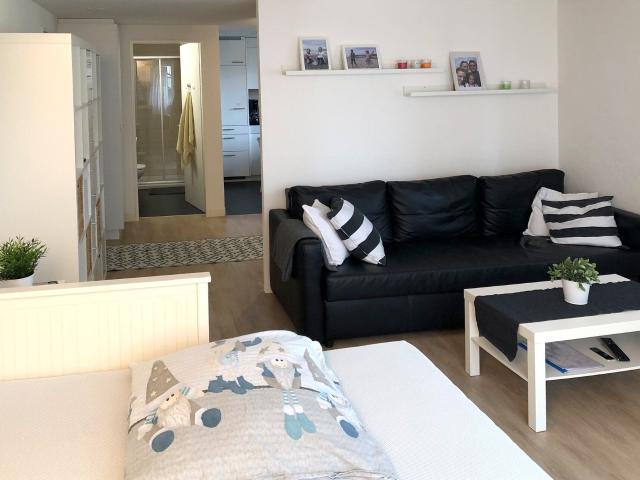 Apartment with 1.5 rooms on sale in Erlinsbach 34 m² | dreamo. Ch