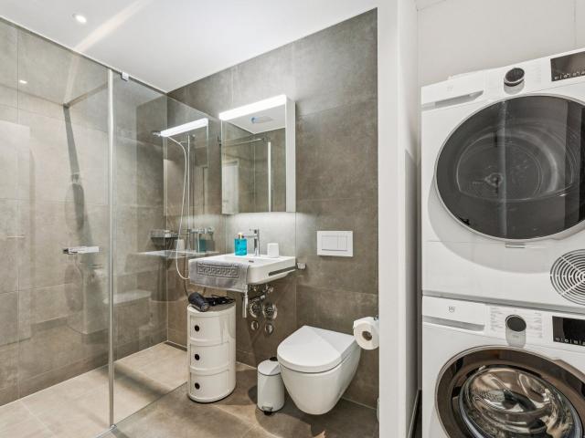 Apartment with 1.5 rooms for rent in Luzern | dreamo. Ch