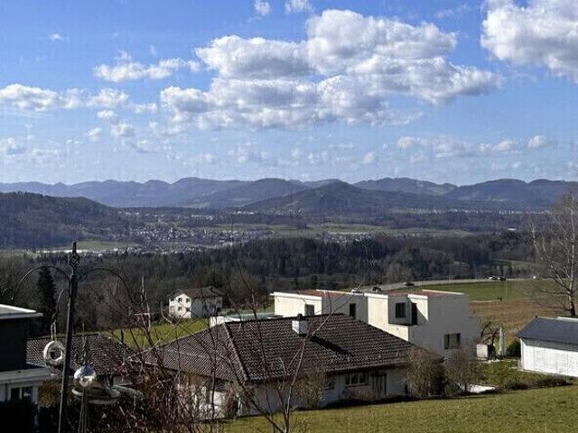 Apartment with 1.5 rooms for rent in Remetschwil 47 m² | dreamo. Ch