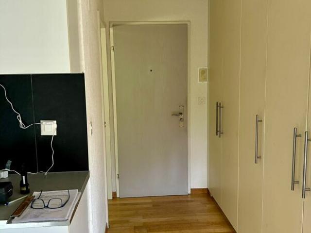 Apartment with 1.5 rooms for rent in Winterthur 35 m² | dreamo. Ch