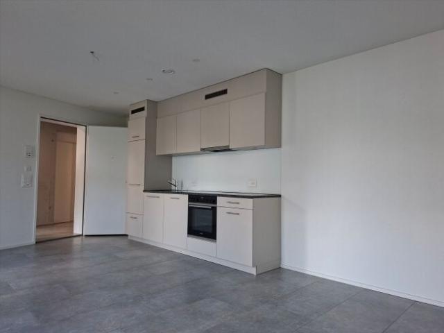 Apartment with 1.5 rooms for rent in Villmergen 41 m² | dreamo. Ch