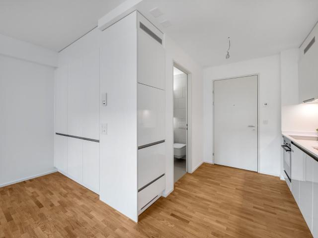 Apartment with 1.5 rooms for rent in Zürich 28 m² | dreamo. Ch
