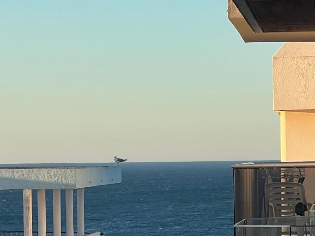 Apartment with 2 balconies & side sea view