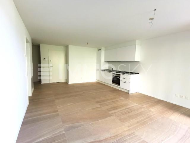 Apartment with 2 rooms on sale in Balerna 55 m² | dreamo. Ch