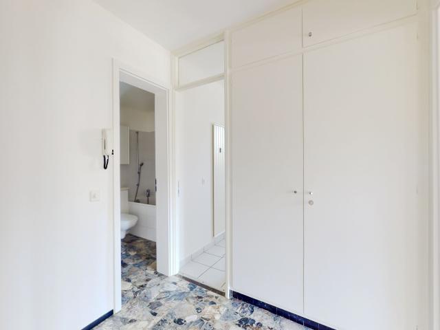 Apartment with 2 rooms for rent in Agno 56 m² | dreamo. Ch