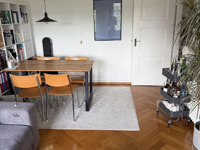 Apartment with 2 rooms for rent in Basel 60 m² | dreamo. Ch