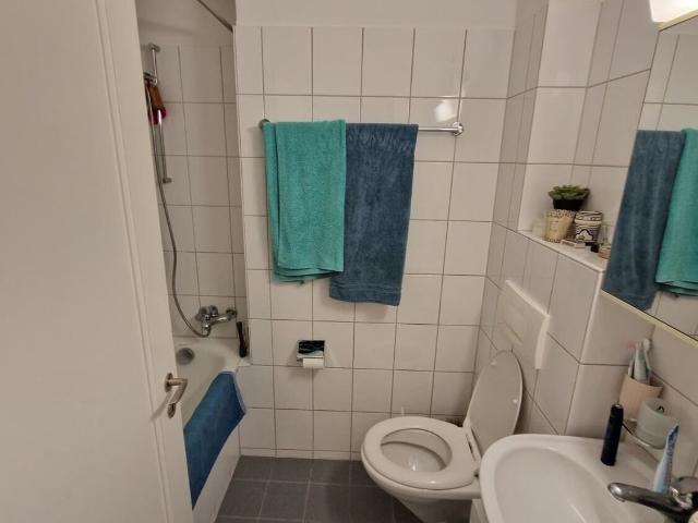 Apartment with 2 rooms for rent in Bern Ref 69115 | dreamo. Ch